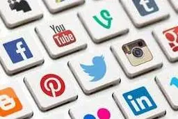  خفاش شب می توانست مثل نوید افکاری یک قهرمان هشتگی شود