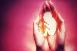 دالِکه نازارِم!(به گویش لُری و به معنی مادر عزیزم، نازنینم!)