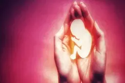 دالِکه نازارِم!(به گویش لُری و به معنی مادر عزیزم، نازنینم!)