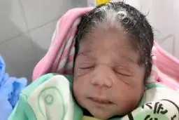 تولد نوزادانی عجیب در مصر | "مصر" سرزمین عجایب