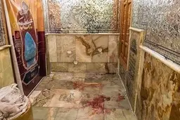  لحظه تیراندازی نیروی امنیتی حرم شاهچراغ به تروریست داعشی | ۵ گلوله به سمت او شلیک کردم + ویدئو 