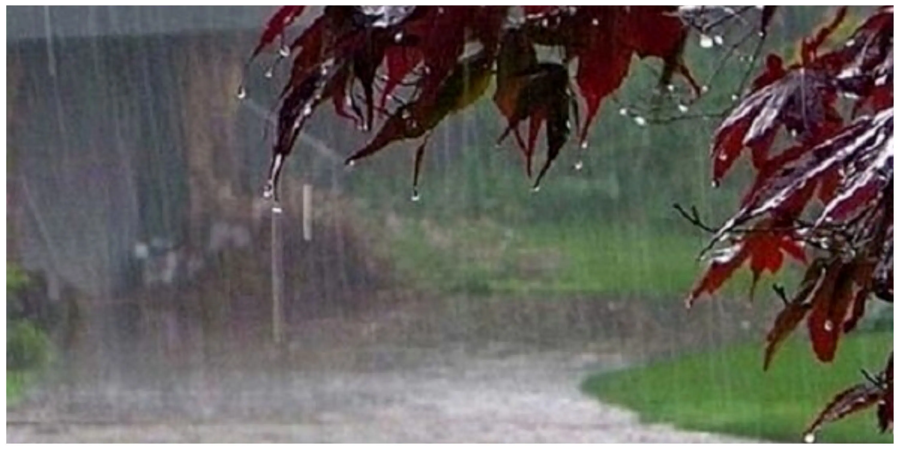 هشدار ناپایداری جوی در ۱۹ استان | باران در این مناطق