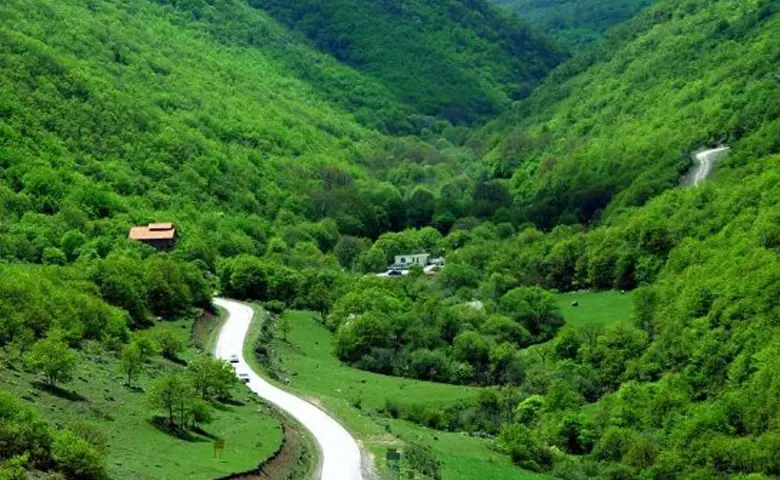 جنگل ارسباران | بهشتی کم‌نظیر در شمال‌غربی ایران 