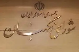 ارسال بودجه ۹۹ به شورای نگهبان
