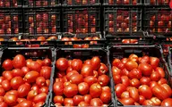 کشف گوجه فرنگی های تریاکی در تهران | راننده کامیون دستگیر شد