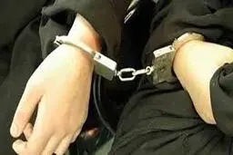 سرقت |  سارق مسافرنما در تهران دستگیر شد 
