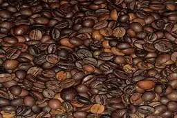 چقدر قهوه در سال گذشته به ایران وارد شد؟ | رشد چشمگیر قهوه در سال ۱۴۰۲