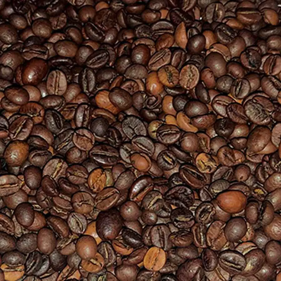 چقدر قهوه در سال گذشته به ایران وارد شد؟ | رشد چشمگیر قهوه در سال ۱۴۰۲