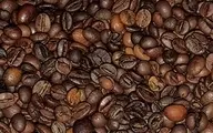 چقدر قهوه در سال گذشته به ایران وارد شد؟ | رشد چشمگیر قهوه در سال ۱۴۰۲
