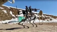 گشت زدن سرباز چینی با سگ رباتیک موضوع داغ رسانه ها شد+ ویدئو
