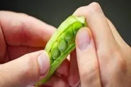 محققان: افزایش امید به زندگی با تغییر رژیم غذایی