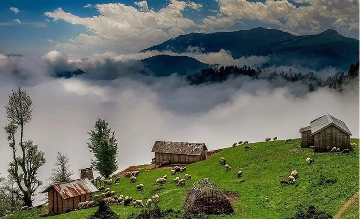 نکات مهم برای انتخاب ویلا در شمال ایران