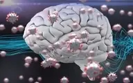 شباهت های عجیب آلزایمر و کرونا! | کشف جنجالی مطالعات جدید 
