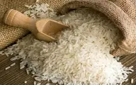 مقام آلمانی: خرید اقلام غذایی از ایران نباید تحریم باشد
