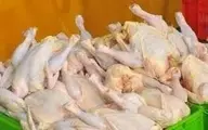 کاهش قیمت مرغ شرط دارد