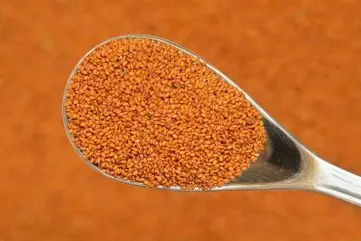  ناشتا خاکشیر با آب گرم بخور! |  خواص بینظیر خاکشیر با آب گرم!