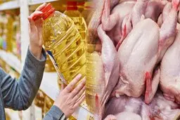 قیمت جدید روغن در بازار | قیمت مرغ دوباره کاهشی می شود؟