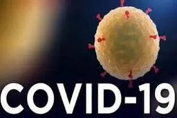 آژیر خطر کرونا در کهگیلویه و بویراحمد به صدا در آمد/تعداد جان باختگان کرونا در استان به ۱۱۰ نفر رسید.