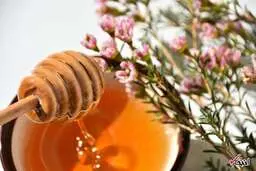 
 با چه روش‌هایی می‌توان آبریزش بینی را متوقف کرد؟
