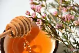 
 با چه روش‌هایی می‌توان آبریزش بینی را متوقف کرد؟
