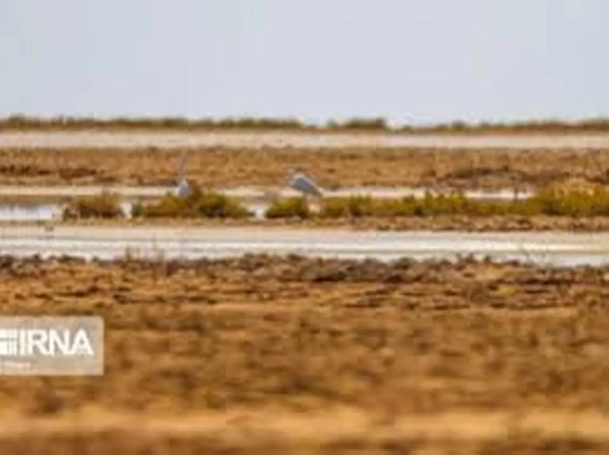 تالاب بین‌المللی گاوخونی  |  96 درصد بطور کامل خشک شده  است