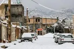 دام های عشایر منطقه در اثر سرما تلف شدند | بسیاری از خانواده ها وسیله گرمایشی ندارند!