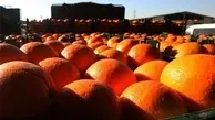 هشدار جدی | پرتقال‌های این رنگی را نه بخرید، نه بخورید!