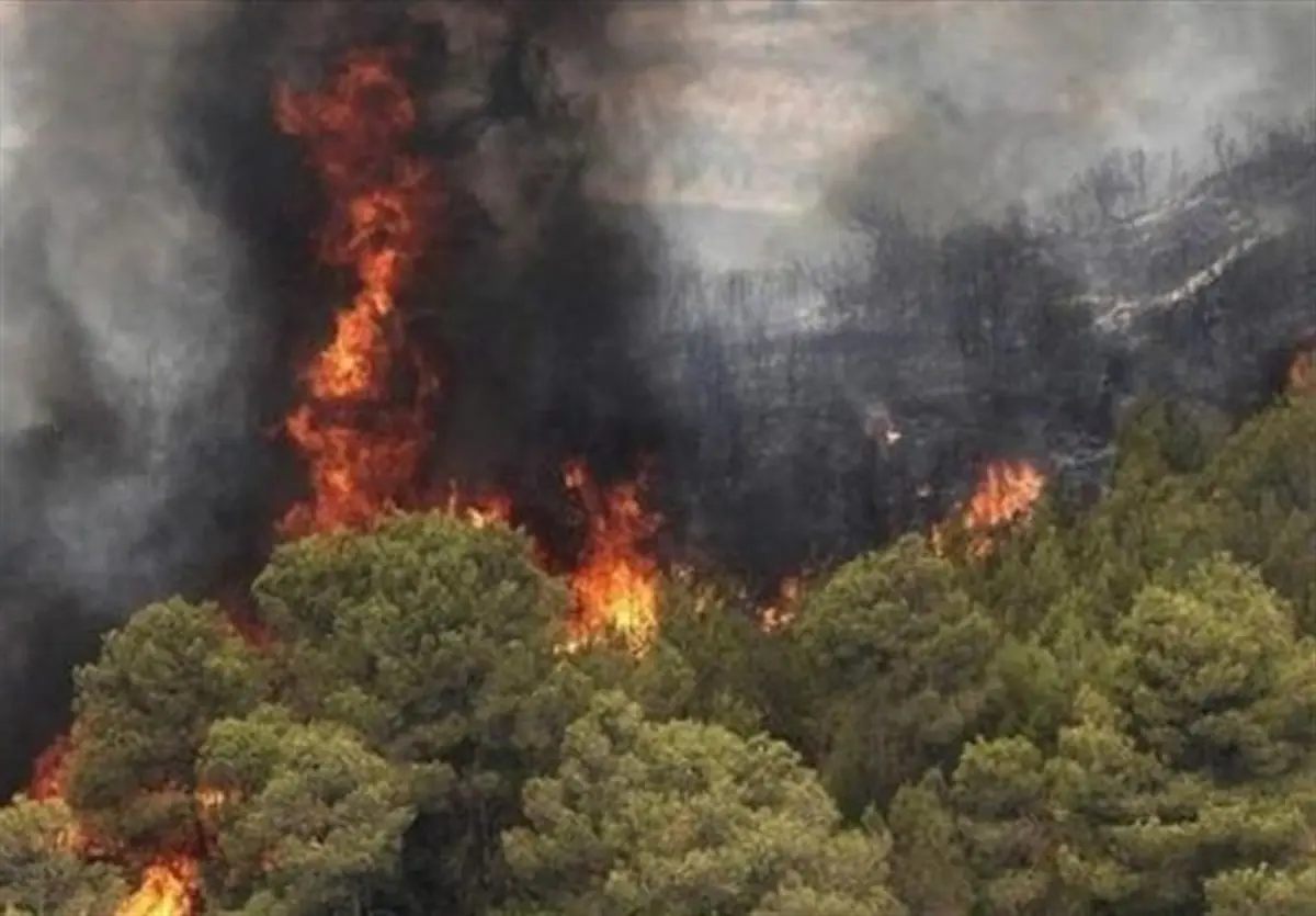  مهار آتش جنگل‌های گلستان  |  ۸۰ نیروی امدادی در حال تلاش هستند