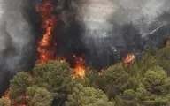  مهار آتش جنگل‌های گلستان  |  ۸۰ نیروی امدادی در حال تلاش هستند