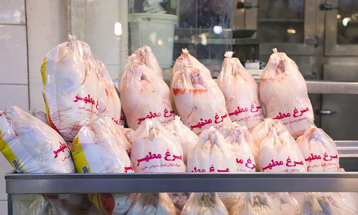خرید مرغ با کارت ملی!| احتمال زیاد بازگشت سهمیه بندی و صف مرغ


