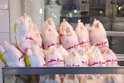 احتمال تعطیلی گسترده مرغداری‌ها