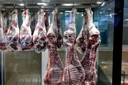 رییس شورای تامین کنندگان دام: قیمت گوشت قرمز در ترکیه از ایران ارزان‌تر است