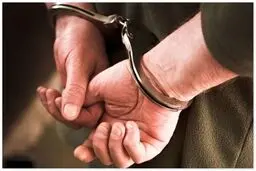 دستگیری زوج درخت دزد