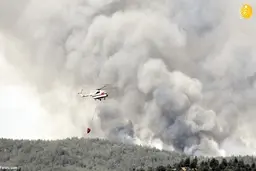  اراضی جنگلی ترکیه  درآتش سوخت