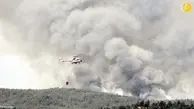  اراضی جنگلی ترکیه  درآتش سوخت
