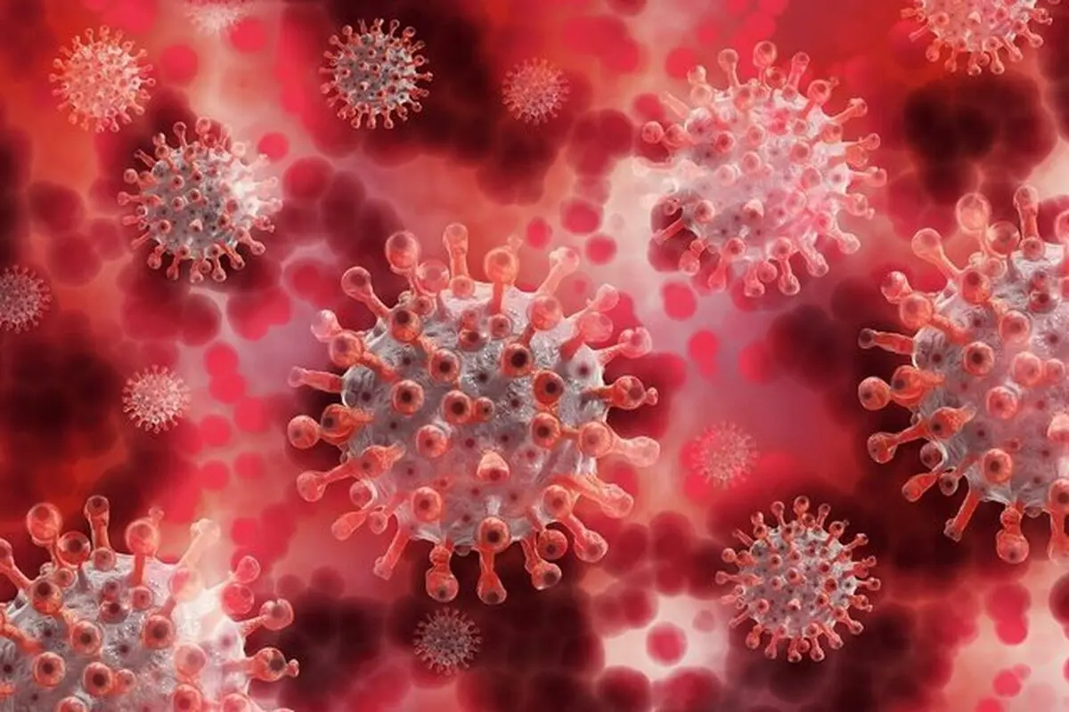  کرونا در جهان امروز 16 مرداد| ابتلایش بیش از ۱۲۰۰۰۰ آمریکایی در ۲۴ ساعت گذشته 