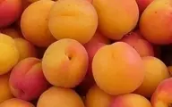 زردآلو کیلویی 55 هزار تومان؟! | وضعیت زردآلو و میوه های نوبرانه در بازار میوه