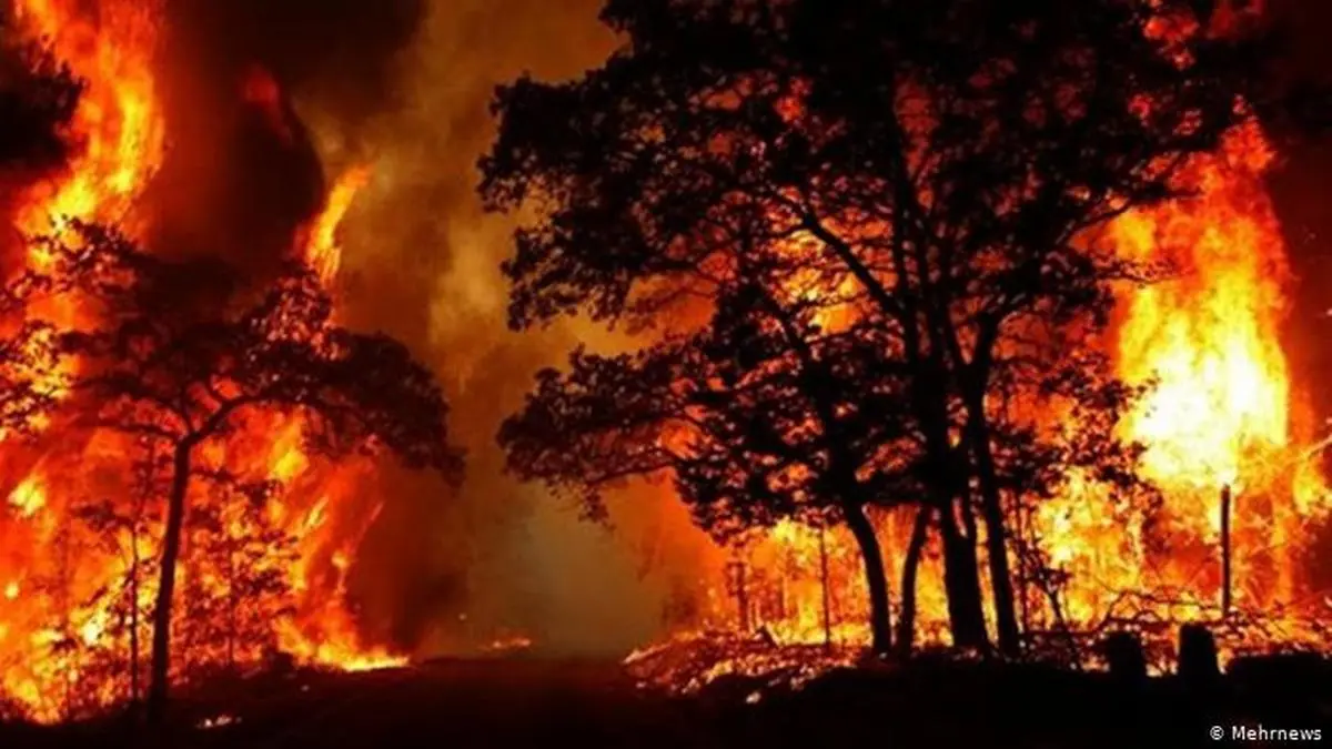   آتش دیگر در جنگل‌های گچساران  زبانه کشیده  |  سال سیاه زاگرس تمامی ندارد