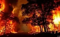   آتش دیگر در جنگل‌های گچساران  زبانه کشیده  |  سال سیاه زاگرس تمامی ندارد