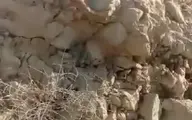 نجات جوجه تیهو‌ها از آتش کوه در استان بوشهر+فیلم
