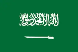 امارات | عربستان برای برقراری ارتباط با اسرائیل شرط گذاشت
