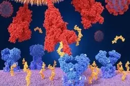 
درمورد ویروس جهش‌یافته بیشتربدانیم
