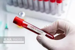 کرونا |  مرگ 102 فوتی کرونایی دیگر درعراق