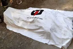  کشف جسد مرد جوانی پشت فرمان | شلیک فجیع مرگبار در اتوبان امام علی (ع)