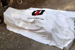  کشف جسد مرد جوانی پشت فرمان | شلیک فجیع مرگبار در اتوبان امام علی (ع)