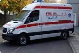 قاچاق چوب با آمبولانس؟ | جریمه قاچاق چوب 10 برابر شد
