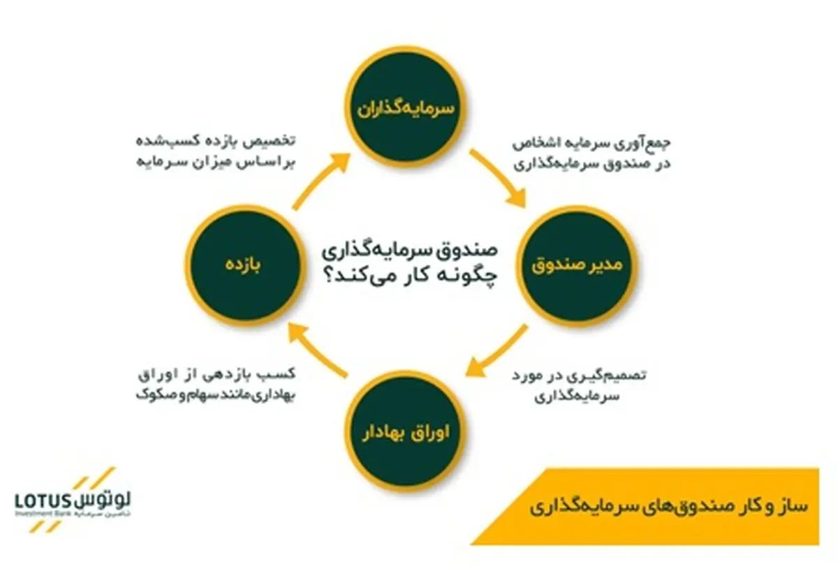 لوتوس؛ همراهی قابل اتکا برای سرمایه‌گذاری