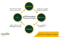 لوتوس؛ همراهی قابل اتکا برای سرمایه‌گذاری