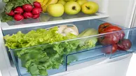  باور نادرست در مورد نگه داری خوراکی‌ها در دمای پایین | بسیاری از خوراکی‌ها در یخچال  از بین می‌روند