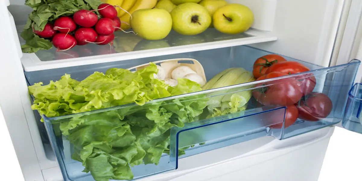  باور نادرست در مورد نگه داری خوراکی‌ها در دمای پایین | بسیاری از خوراکی‌ها در یخچال  از بین می‌روند